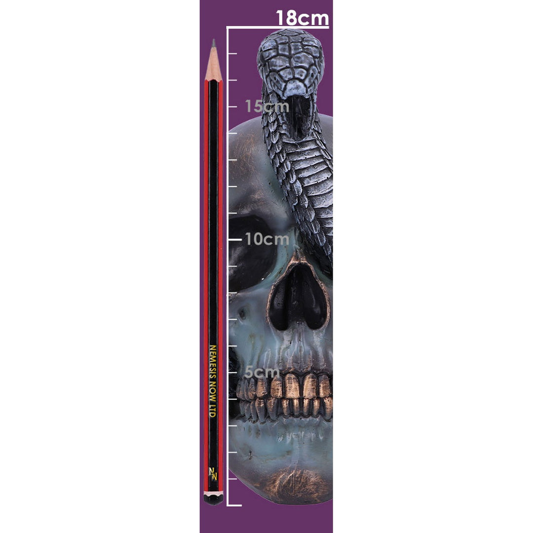 Serpentine Fate Gothic Snake Skull 19cm B6093W2