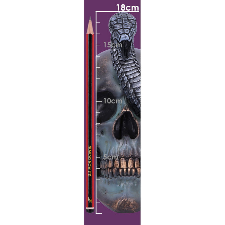 Serpentine Fate Gothic Snake Skull 19cm B6093W2