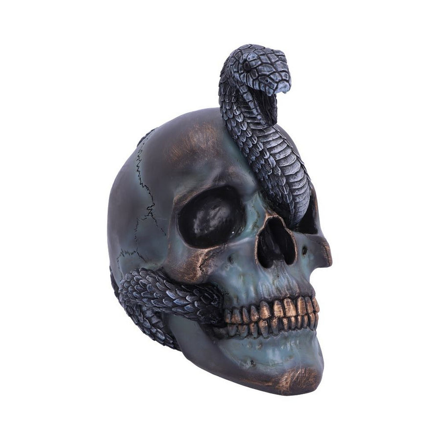 Serpentine Fate Gothic Snake Skull 19cm B6093W2