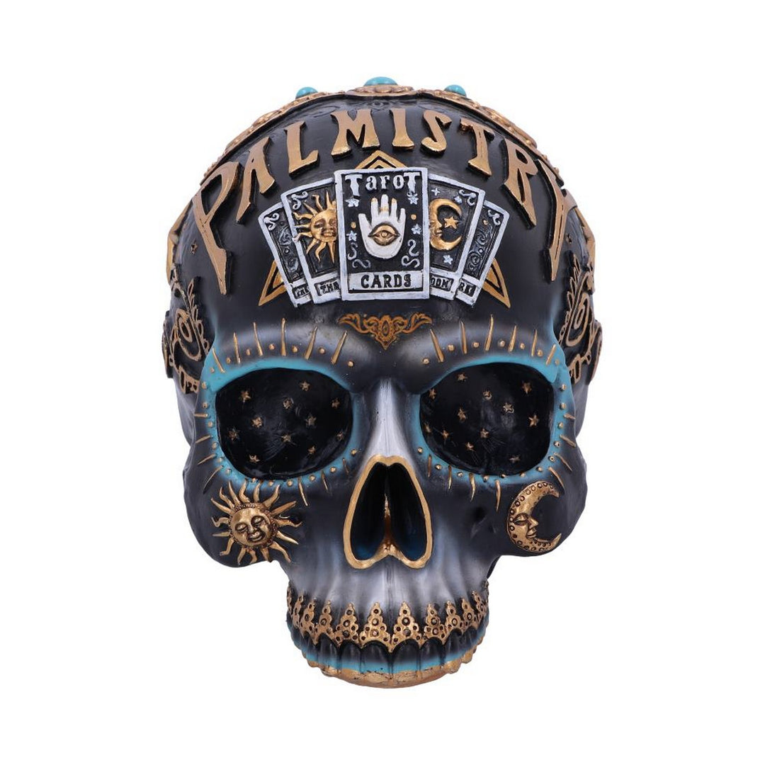 Destiny Palmistry Skull 18cm B6095W2