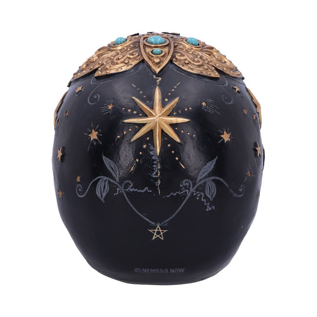 Destiny Palmistry Skull 18cm B6095W2