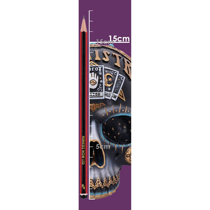Destiny Palmistry Skull 18cm B6095W2