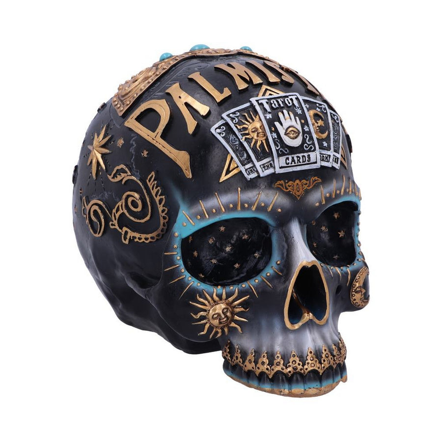 Destiny Palmistry Skull 18cm B6095W2