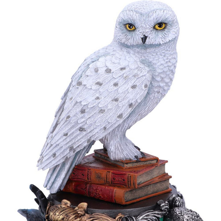 Harry Potter Hedwig Owl Figurine 22cm B6148W2