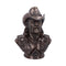 Motorhead Lemmy Bronze Bust 35cm B6162W2