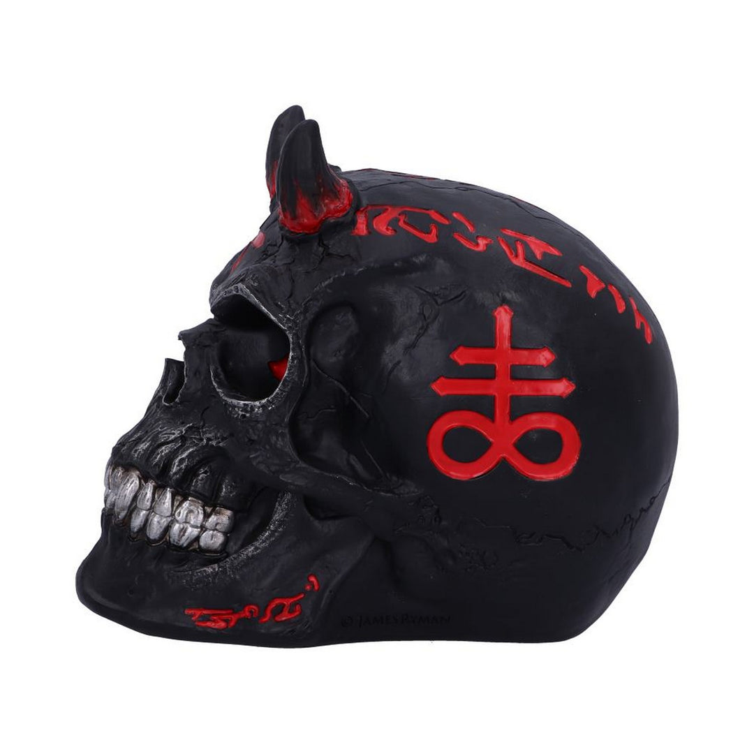 James Ryman Infernal Skull 20cm B6196W2