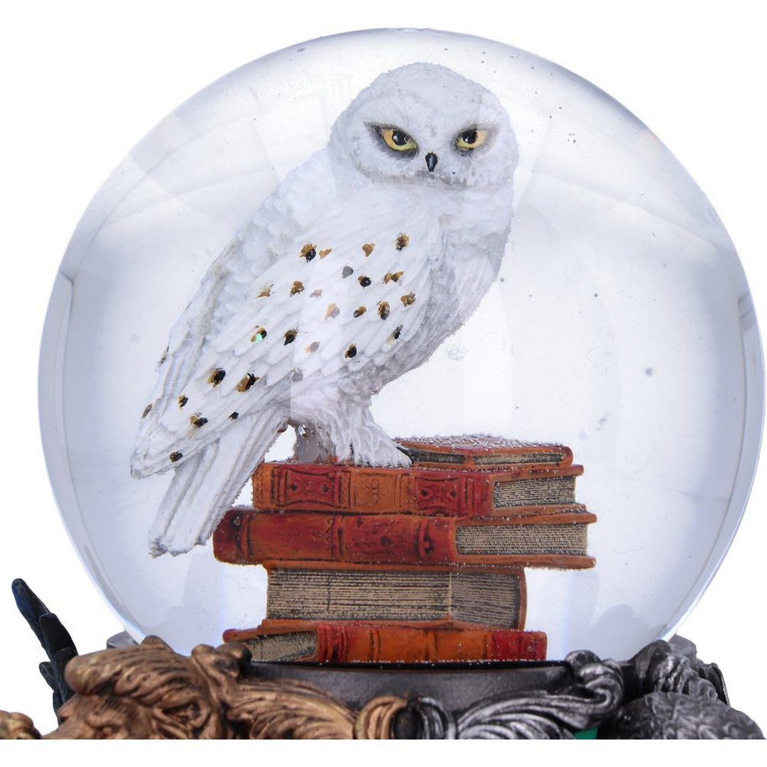 Officially Licensed Harry Potter Hedwig Snow Globe 18.5cm B6267X3
