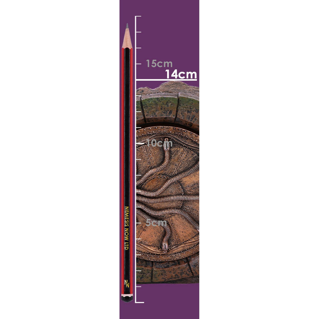 Harry Potter Door to the Chamber of Secrets Storage Box 25cm B6478X3