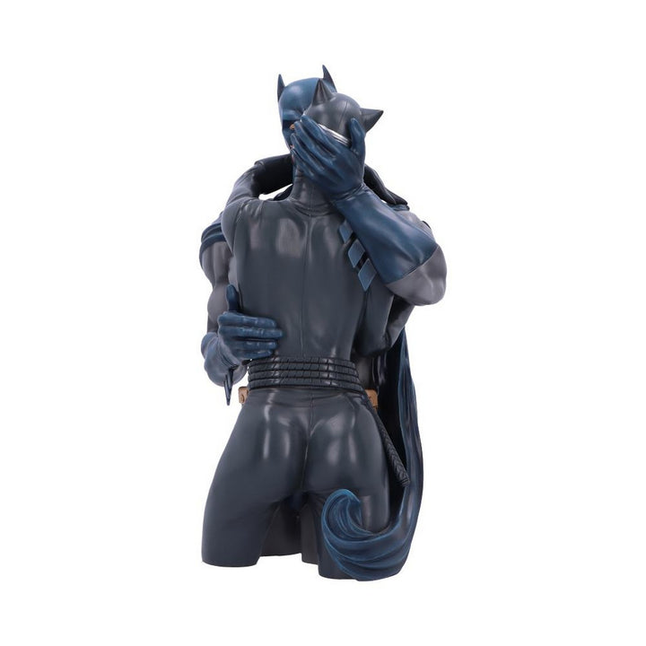 Batman & Catwoman DC Collectible Bust B6542A24