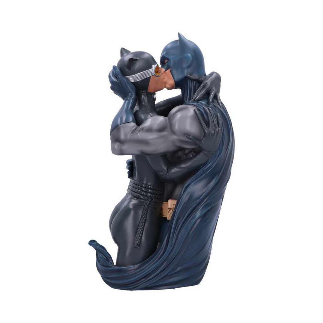 Batman & Catwoman DC Collectible Bust B6542A24