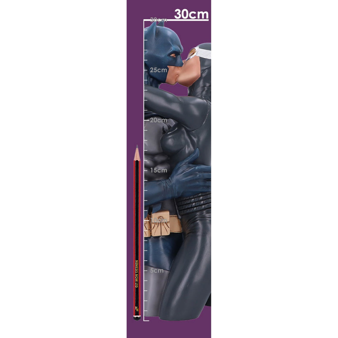 Batman & Catwoman DC Collectible Bust B6542A24