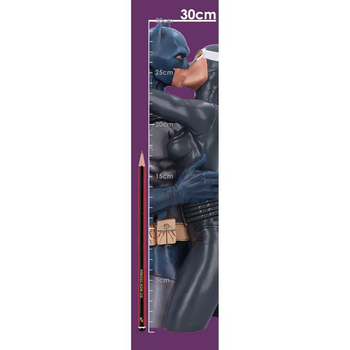 Batman & Catwoman DC Collectible Bust B6542A24