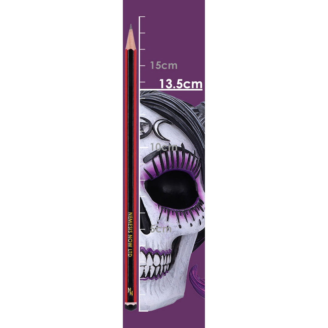Drop Dead Gorgeous - Myths and Magic Voodoo Doll Skull B6589Y3