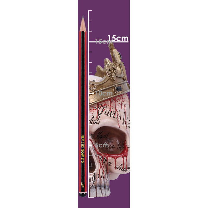 Macbeth Skull B6592Y3