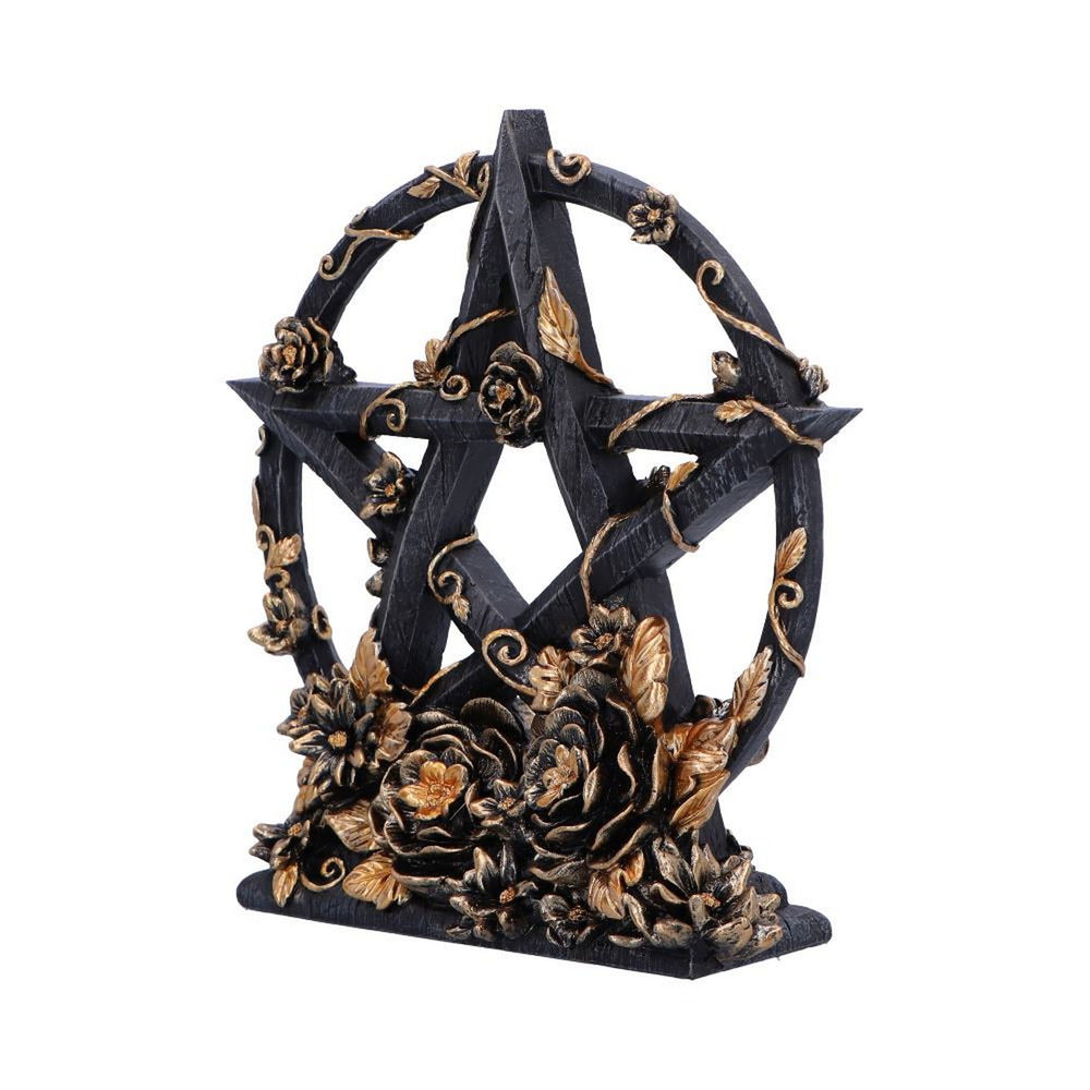 Dark Floral Decorative Pentagram Ornament B6616B24
