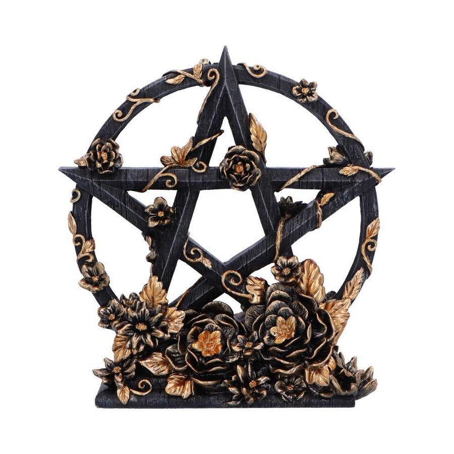 Dark Floral Decorative Pentagram Ornament B6616B24