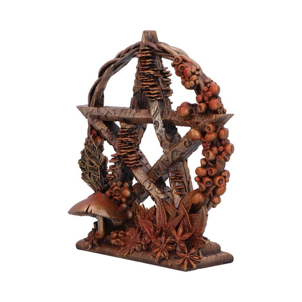 Autmnal Floral Decorative Pentagram Ornament B6631B24