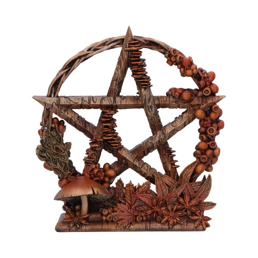 Autmnal Floral Decorative Pentagram Ornament B6631B24