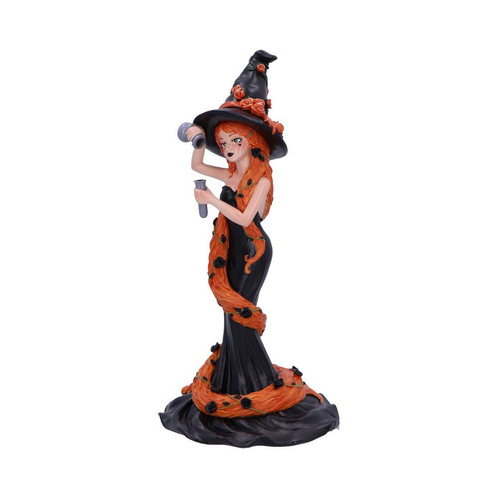 Cinnamon Sugar & Spice Witch Figurine 23.5cm B6633B24