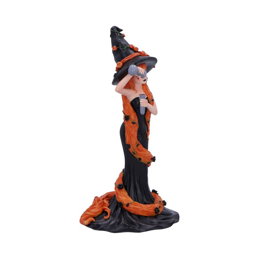 Cinnamon Sugar & Spice Witch Figurine 23.5cm B6633B24