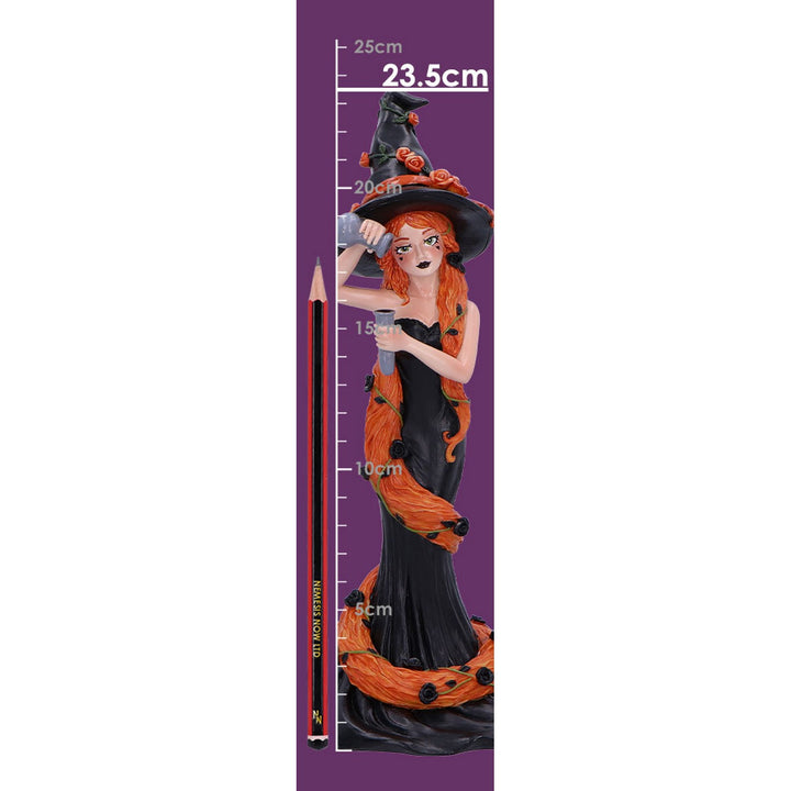 Cinnamon Sugar & Spice Witch Figurine 23.5cm B6633B24
