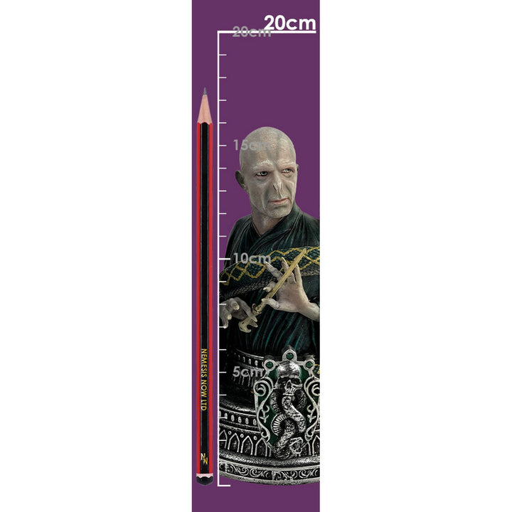 Harry Potter Lord Voldemort Dark Mark Bookend B6663B24
