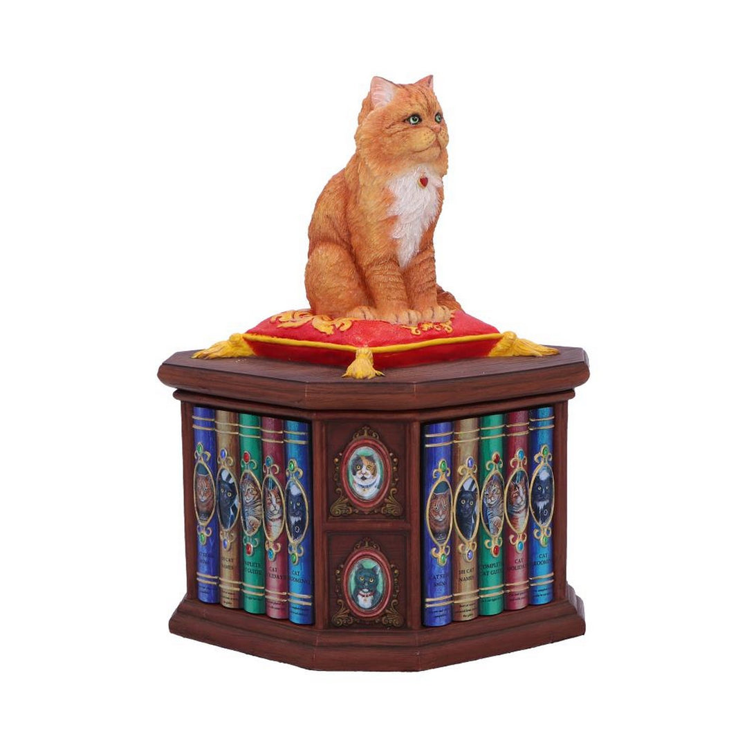 Mad About Cats Box by Lisa Parker B6671B24