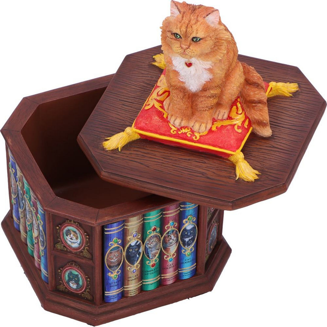 Mad About Cats Box by Lisa Parker B6671B24