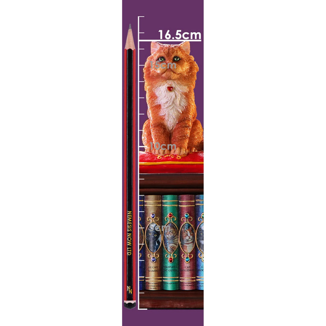 Mad About Cats Box by Lisa Parker B6671B24