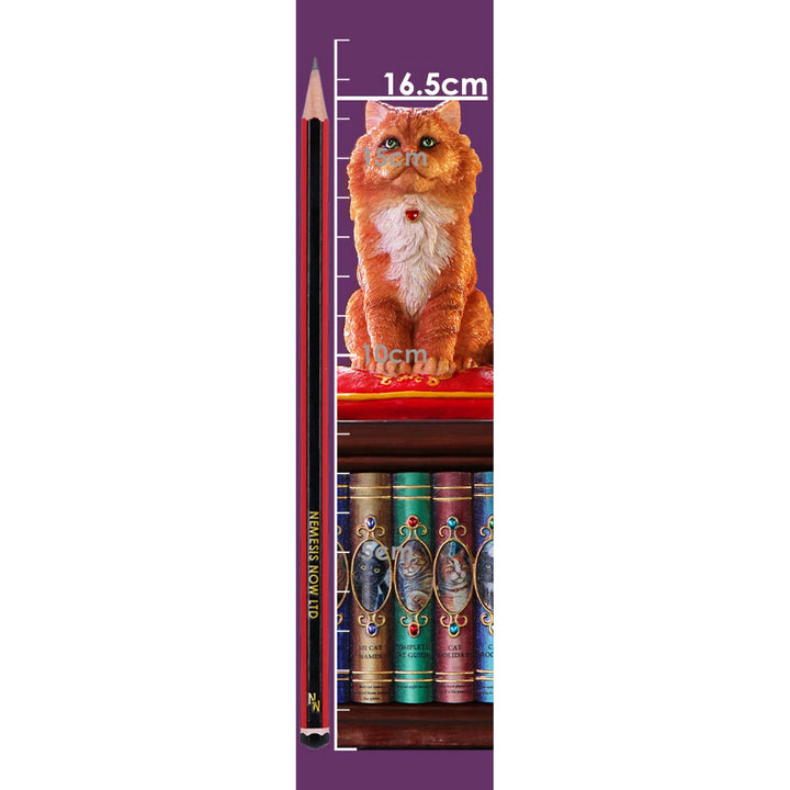 Mad About Cats Box by Lisa Parker B6671B24