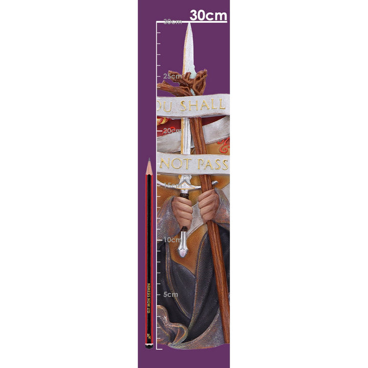 Lord of the Rings You Shall Not Pass Wall Plaque B6672B24