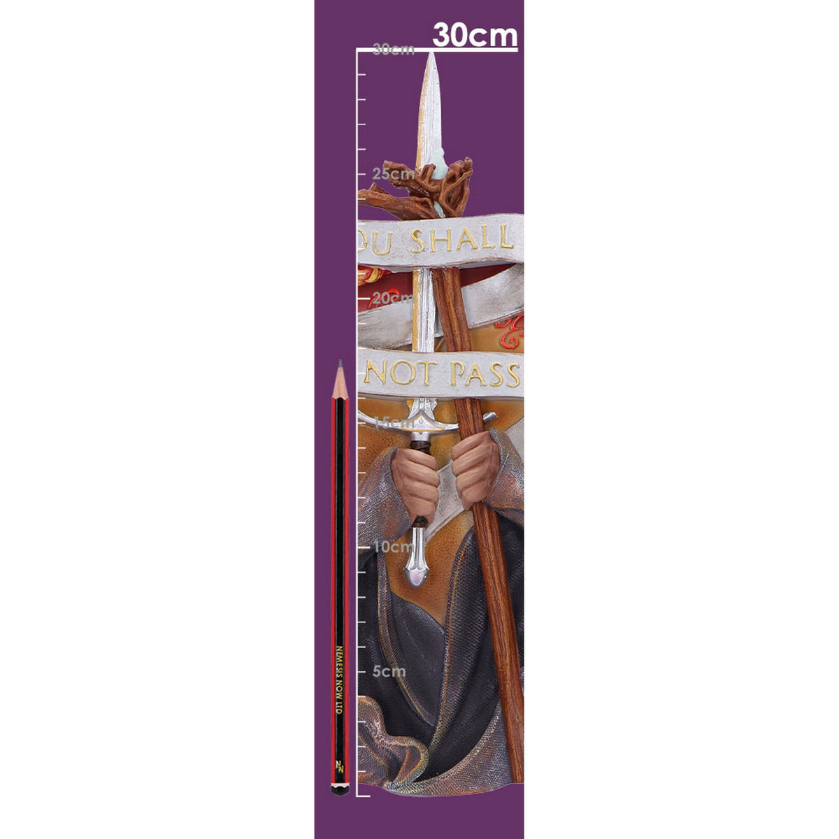 Lord of the Rings You Shall Not Pass Wall Plaque B6672B24