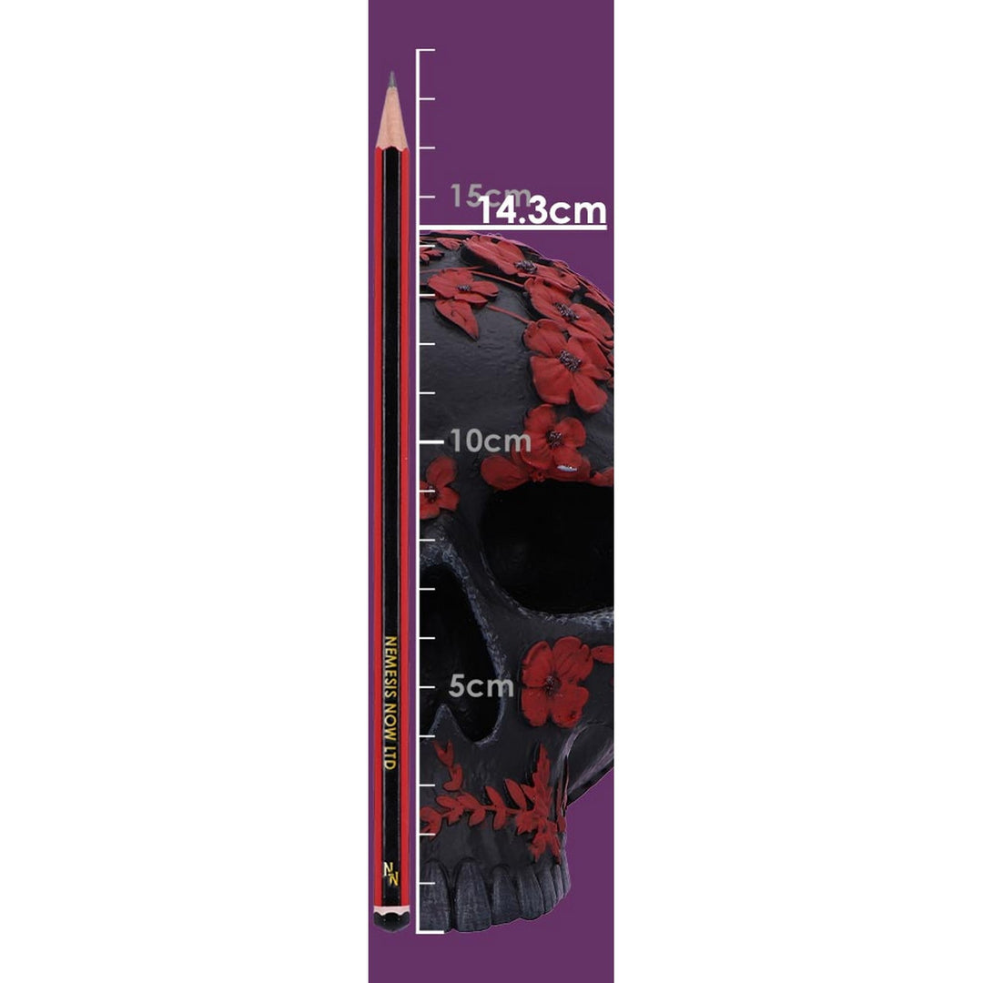 Age of Opium Poppy Skull B6836C24