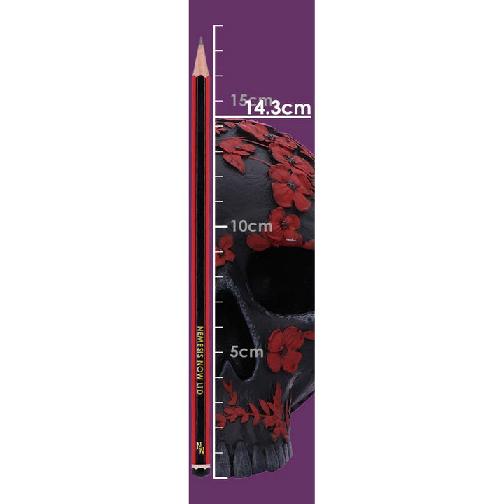 Age of Opium Poppy Skull B6836C24