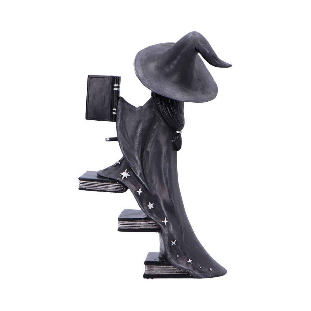 Little Souls Luna Witch with Books Figurine B6936C24