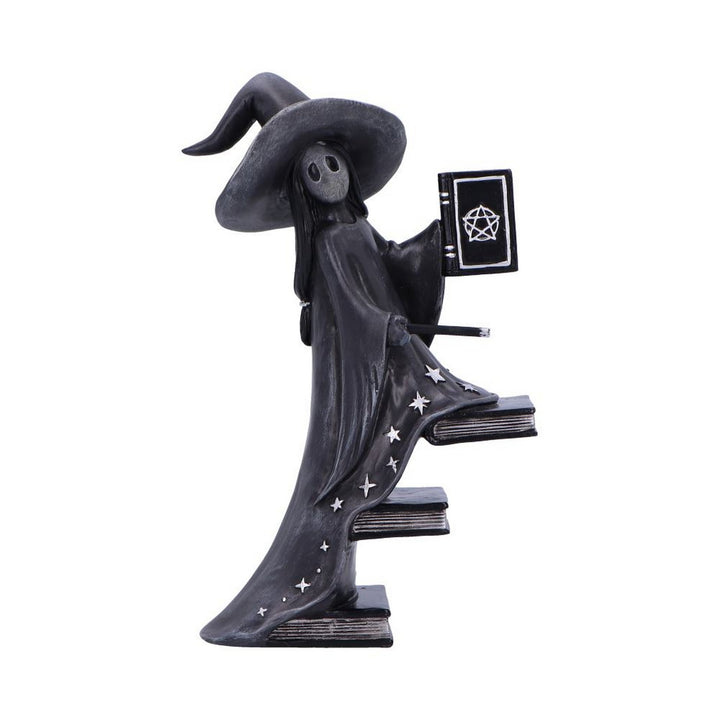 Little Souls Luna Witch with Books Figurine B6936C24