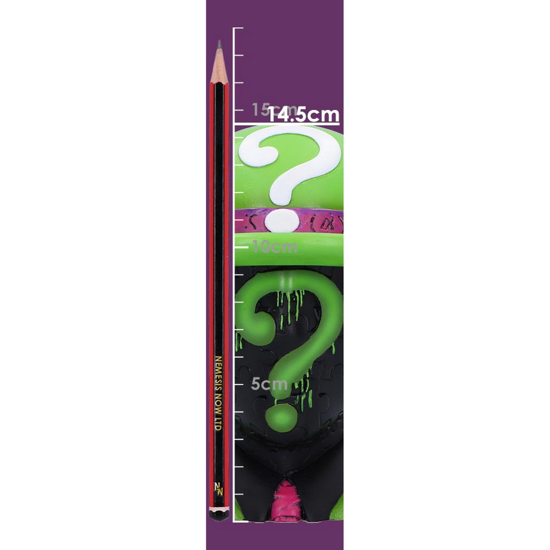 DC Batman Riddler Hat Box in green B6943A25