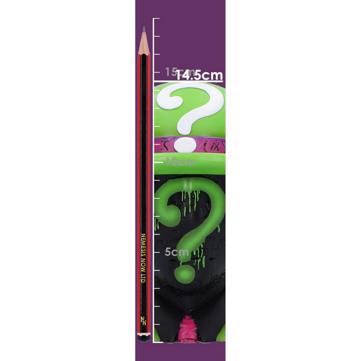 DC Batman Riddler Hat Box in green B6943A25