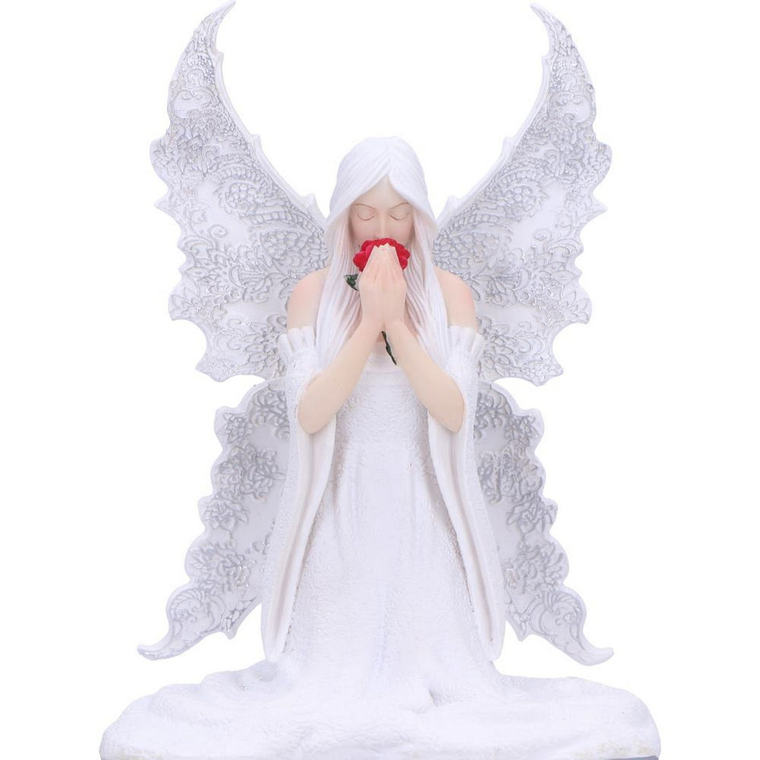 Anne Stokes Only Love Remains Fairy Figurine Storage Box B6975A25