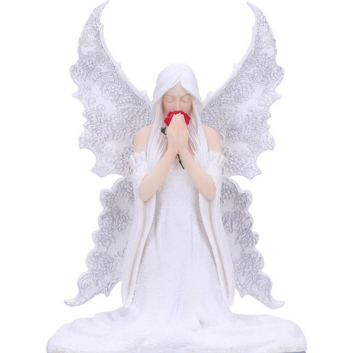 Anne Stokes Only Love Remains Fairy Figurine Storage Box B6975A25