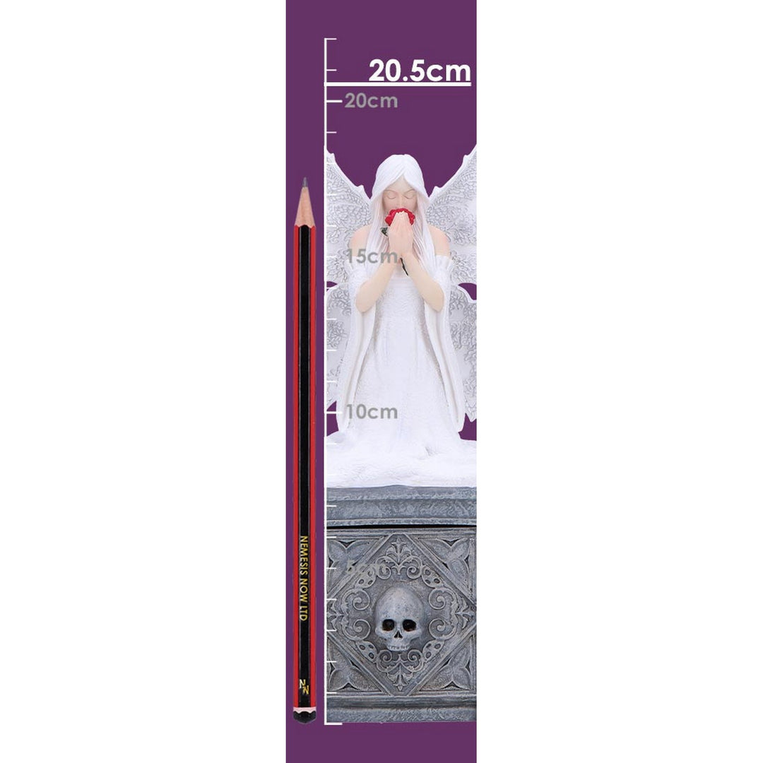Anne Stokes Only Love Remains Fairy Figurine Storage Box B6975A25