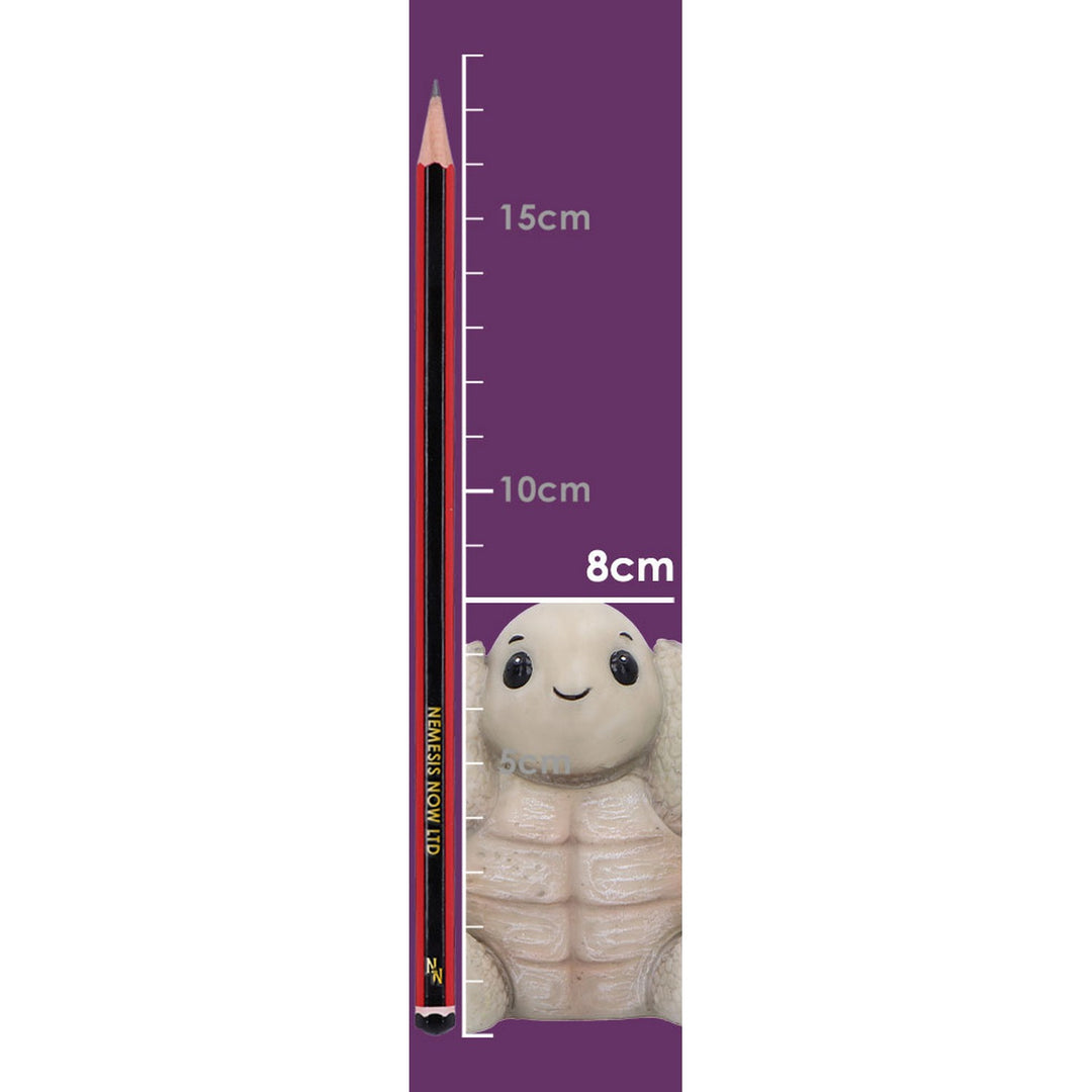 Three Wise Tortoises Figurines by Nemesis Now B7022M25