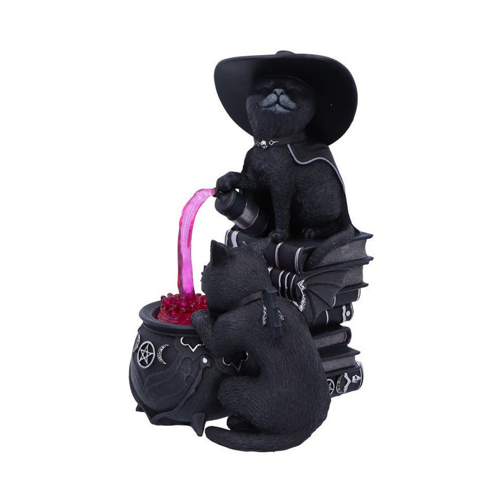 Cult Cuties Malpuss and Purrah Curious Cauldron 18.5cm B7148C25