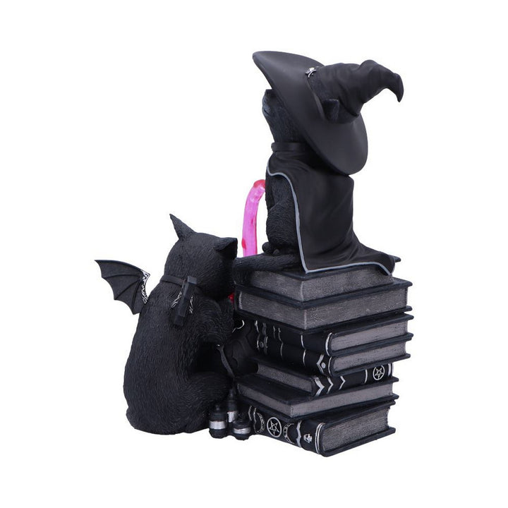 Cult Cuties Malpuss and Purrah Curious Cauldron 18.5cm B7148C25