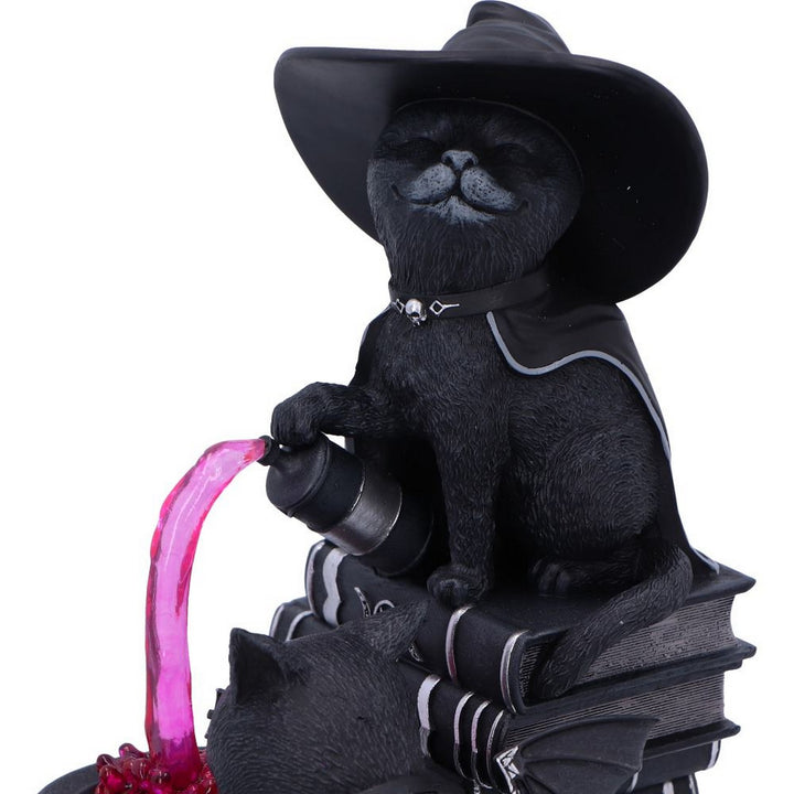Cult Cuties Malpuss and Purrah Curious Cauldron 18.5cm B7148C25