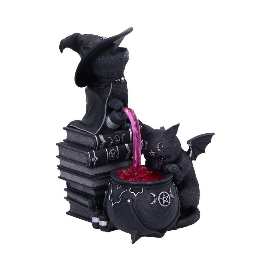 Cult Cuties Malpuss and Purrah Curious Cauldron 18.5cm B7148C25