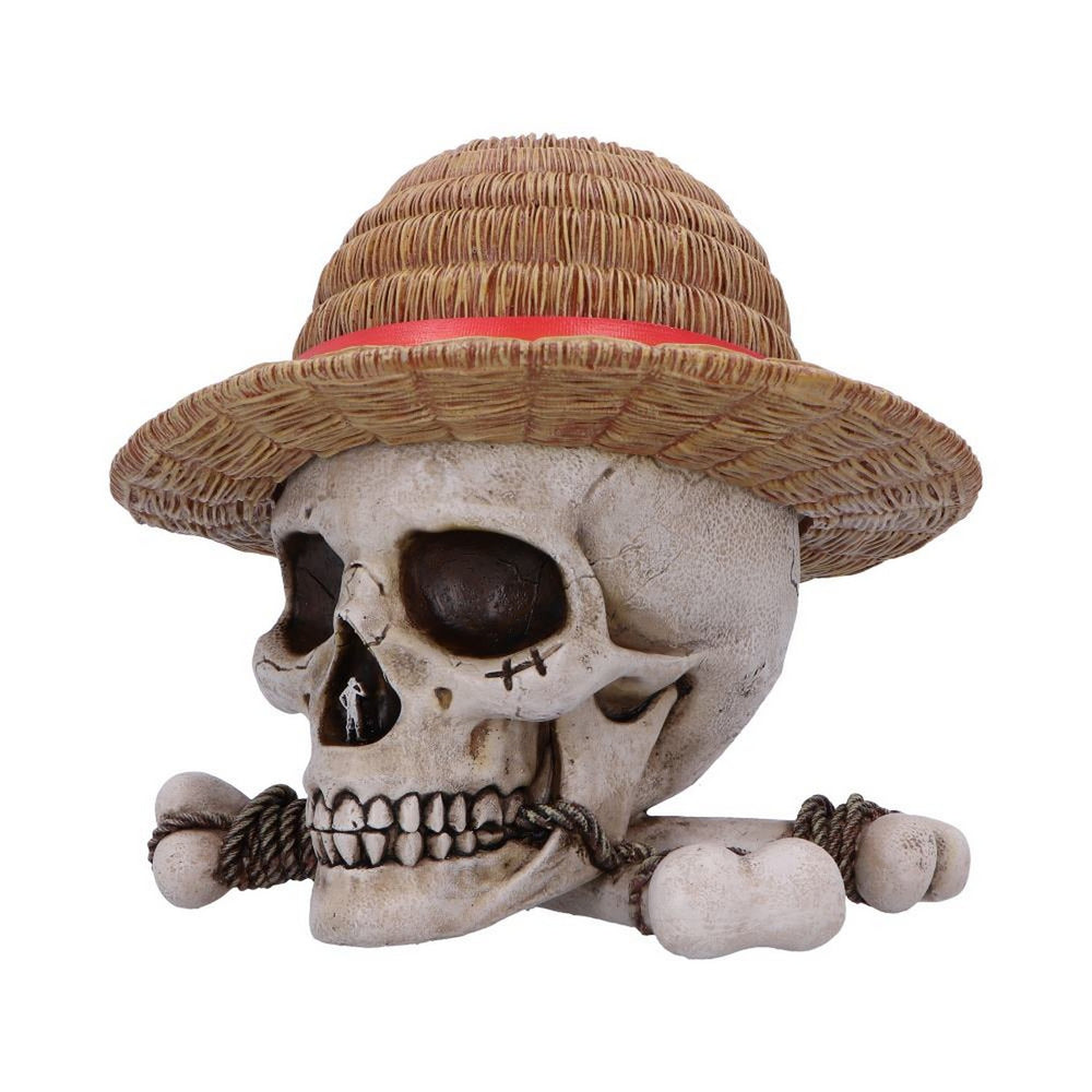One Piece Luffy Jolly Roger Box B7185C25