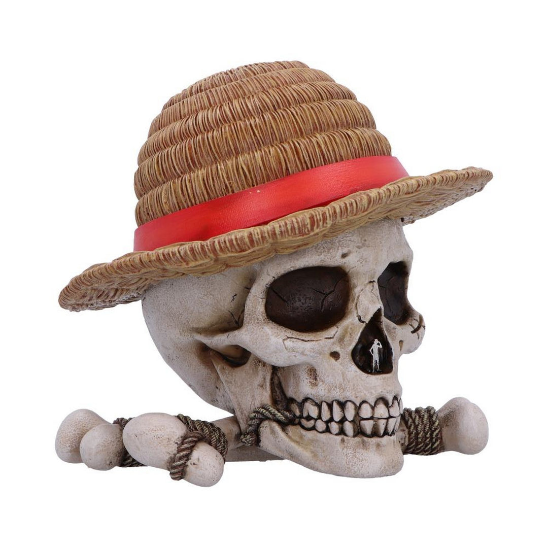 One Piece Luffy Jolly Roger Box B7185C25