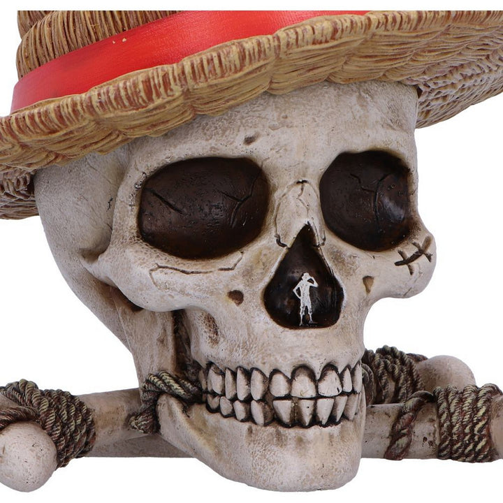 One Piece Luffy Jolly Roger Box B7185C25