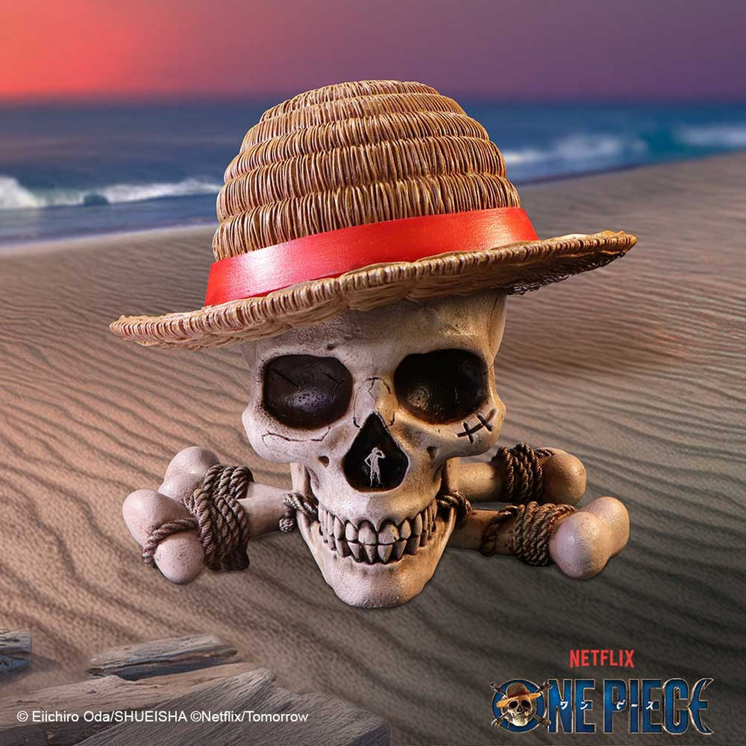 One Piece Luffy Jolly Roger Box B7185C25
